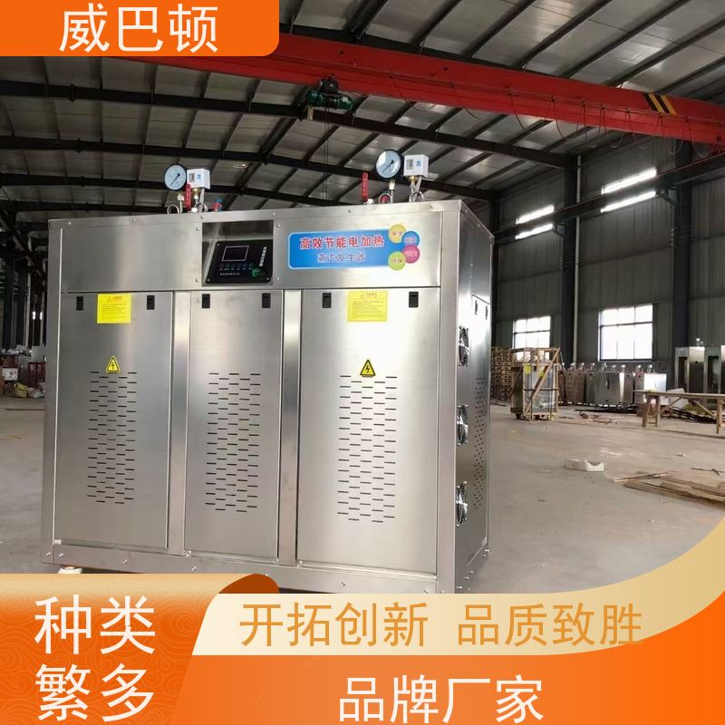  304 不锈钢内胆 一键启动 超压保护 便宜的电蒸汽发生器