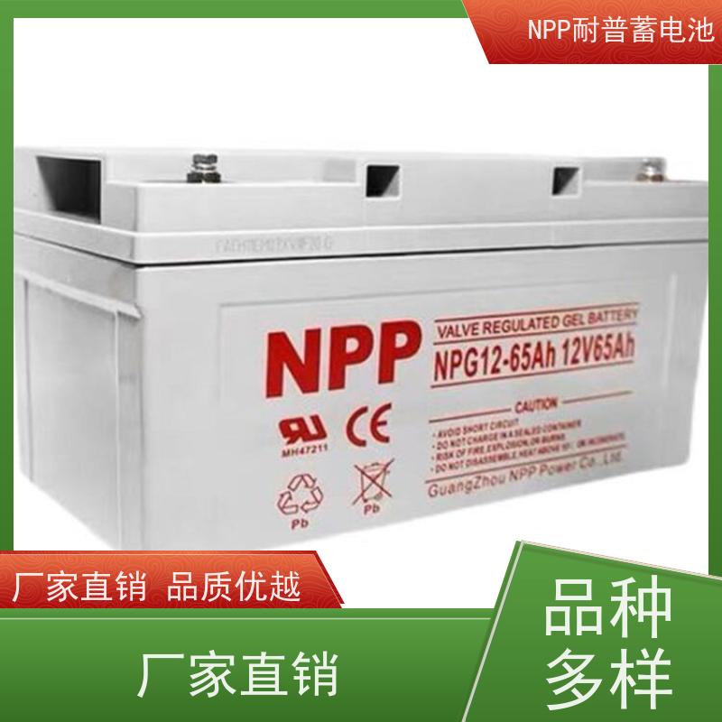 耐普电源 NPG12-24 阀控式密封储能型 稳压应急备用
