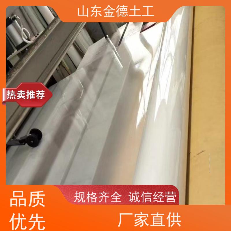 抗老化性好 隔离防渗层 覆砂EVA防水板1.2mm厚 金德土工