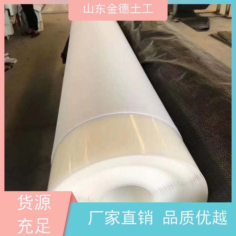 耐久性突出 变形缝防渗 铁标悬吊式EVA防水板1.5mm厚 金德土工