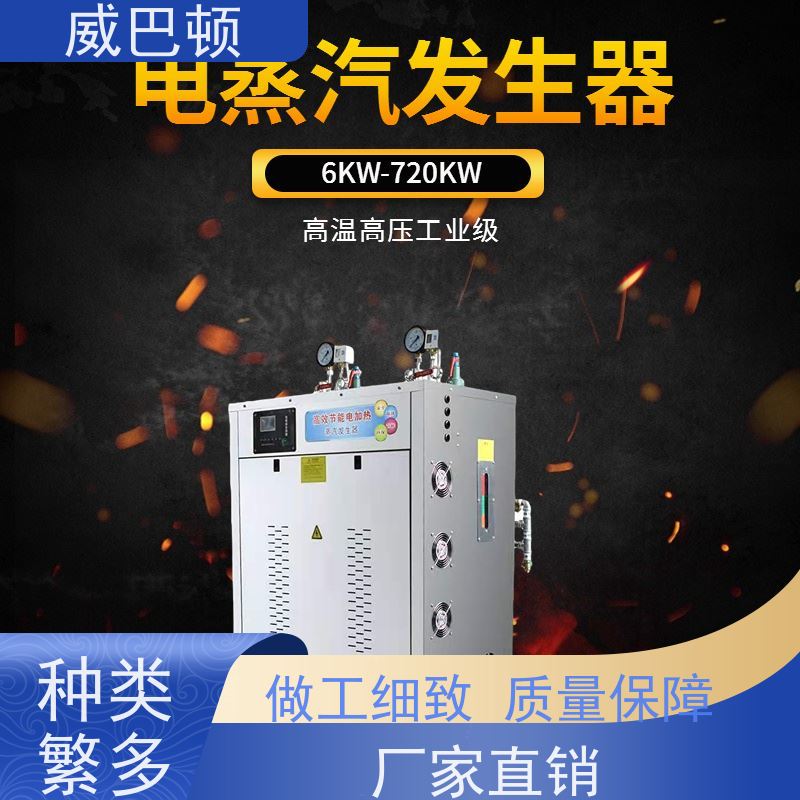  组合设计 24千瓦电蒸汽发生器 消毒行业 高压7公斤