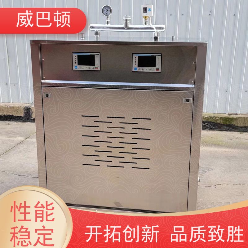  免特检 24KW电蒸汽发生器 水容积≤30L 免监检 高压7公斤