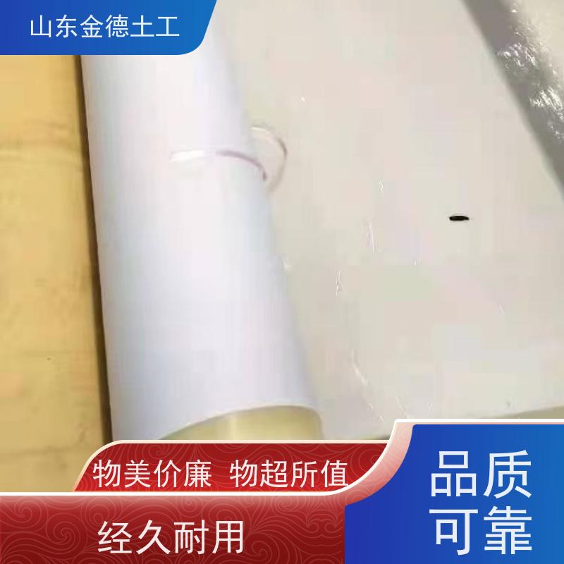 耐根系穿透 防空洞二衬层 覆砂EVA防水板1.2mm厚 金德土工