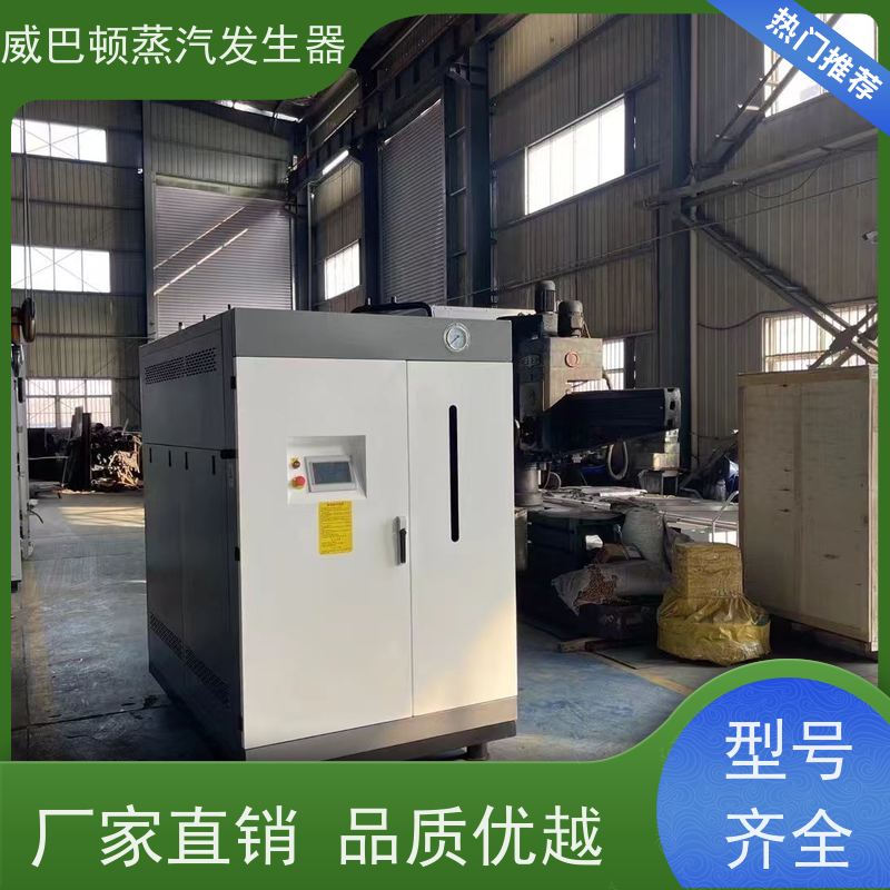  食品级 新能源环保锅炉 启动快 豆腐腐竹加工厂