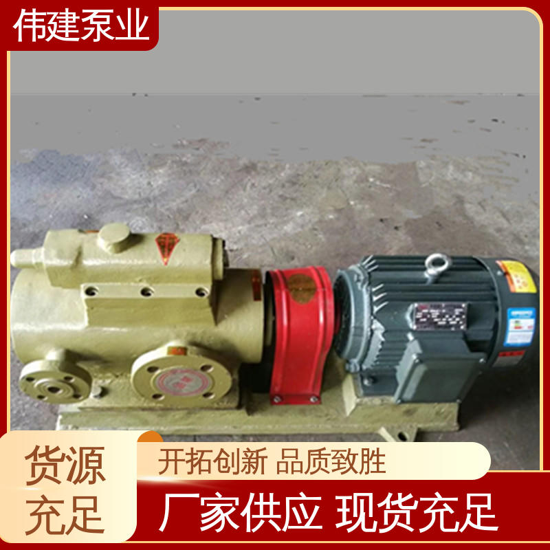 伟建供应 石蜡树脂用 振动小噪音低 现货直发 点火油泵 