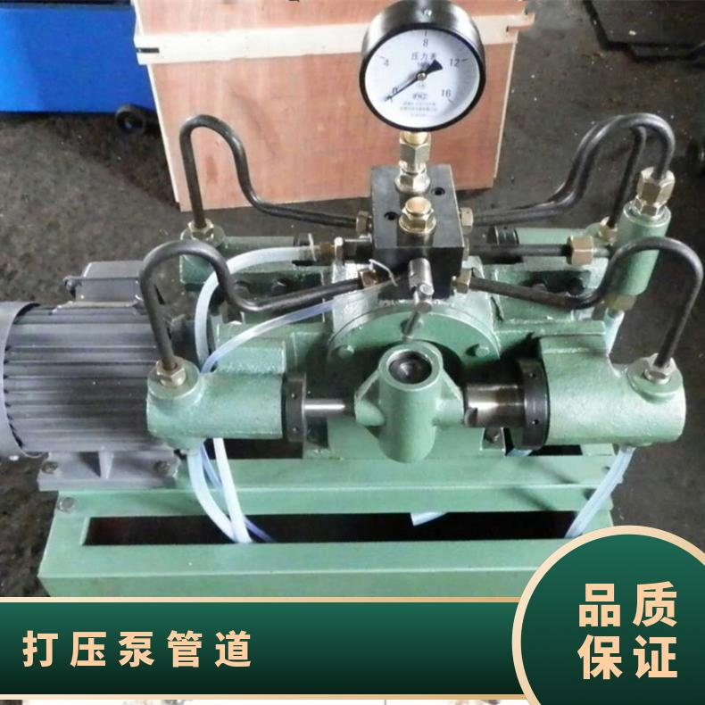 电动打压泵管道柱塞泵 吸入口径9（mm） 流量可调