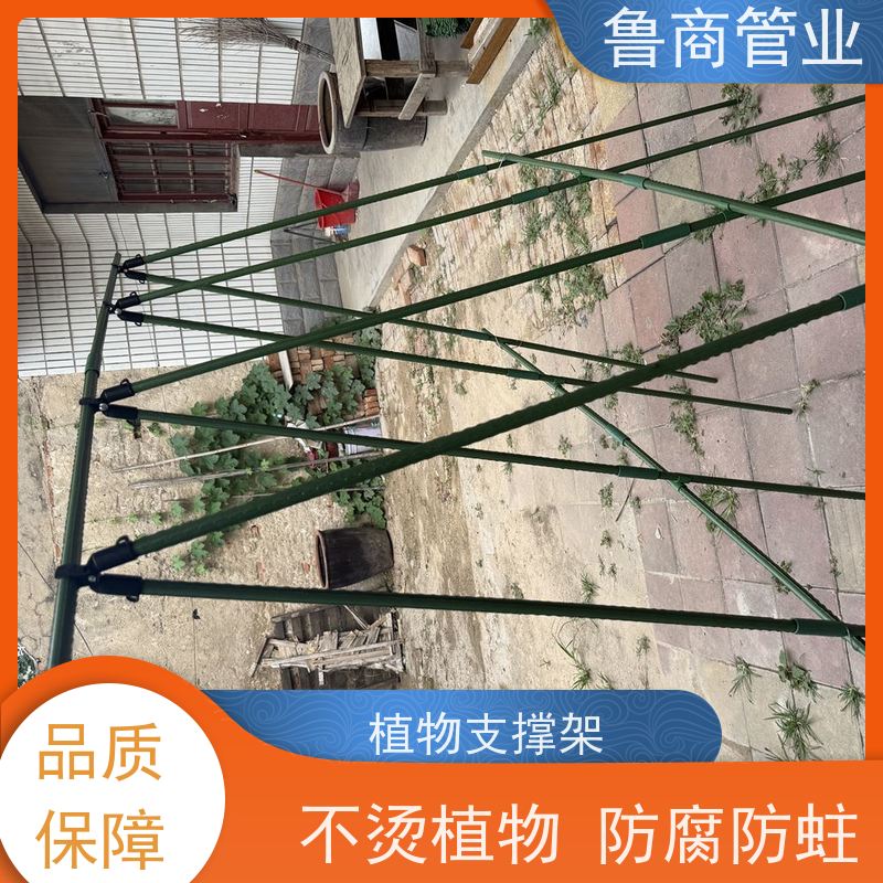 园艺支架管 楼顶搭棚用 安装方便 一件代发 塑料爬藤架