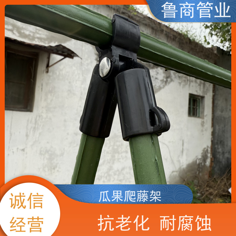 包塑钢管 葡萄架黄瓜架 结实耐用 楼顶搭棚用 一件代发