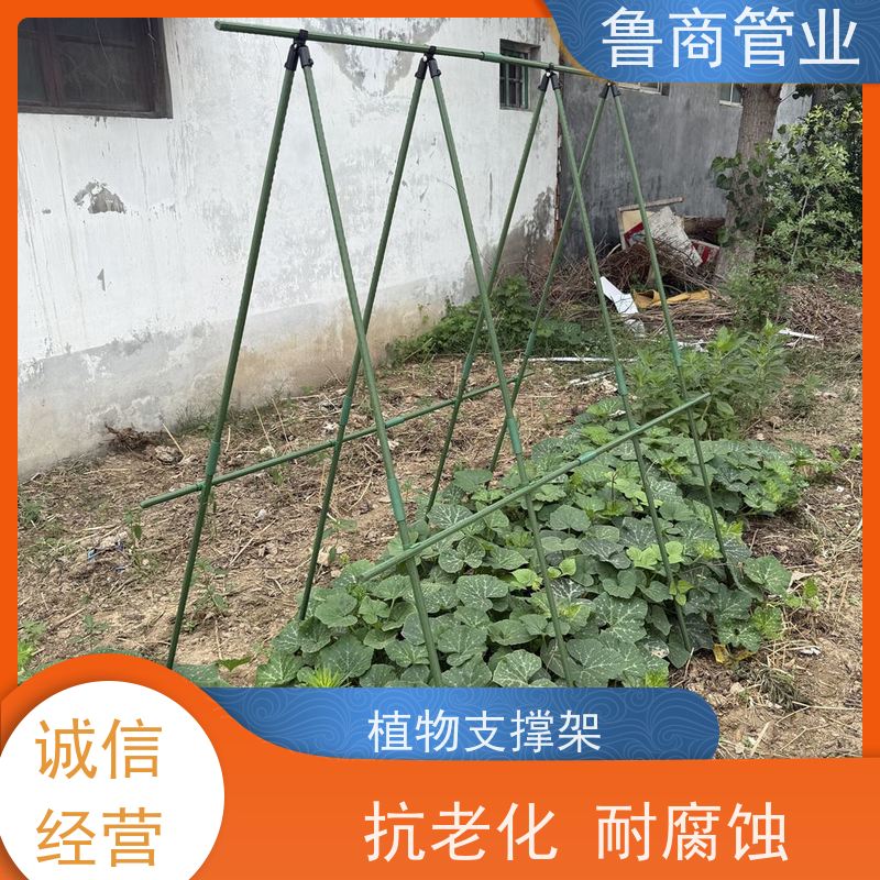 园艺支架管 单支花架用 防风稳定 批发定制 塑料爬藤架