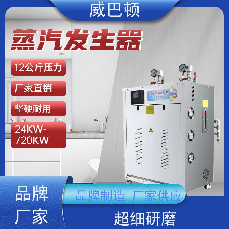  省电 15% 高压7公斤 216千瓦电蒸汽发生器 超压保护