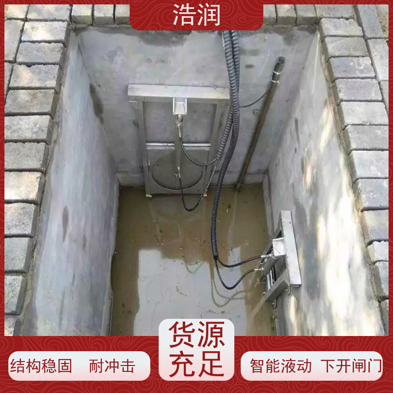 浩润 手电两用启闭机闸门 运行平稳 做工精细 货源充足