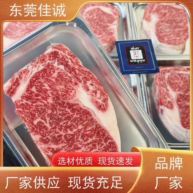 东莞佳诚 快速发货 贴体包装托盘 提供打样服务