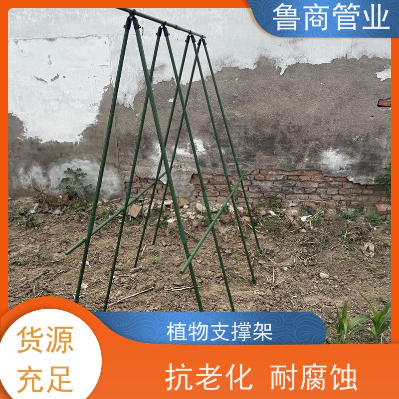 包塑支杆 安装方便 植物支撑用 批发定制 铁线莲爬藤架