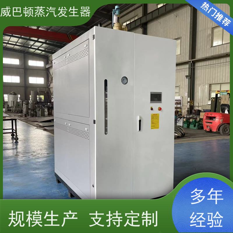  免登记 5T蒸汽发生器 热效率 101% 还省气 混凝土养护