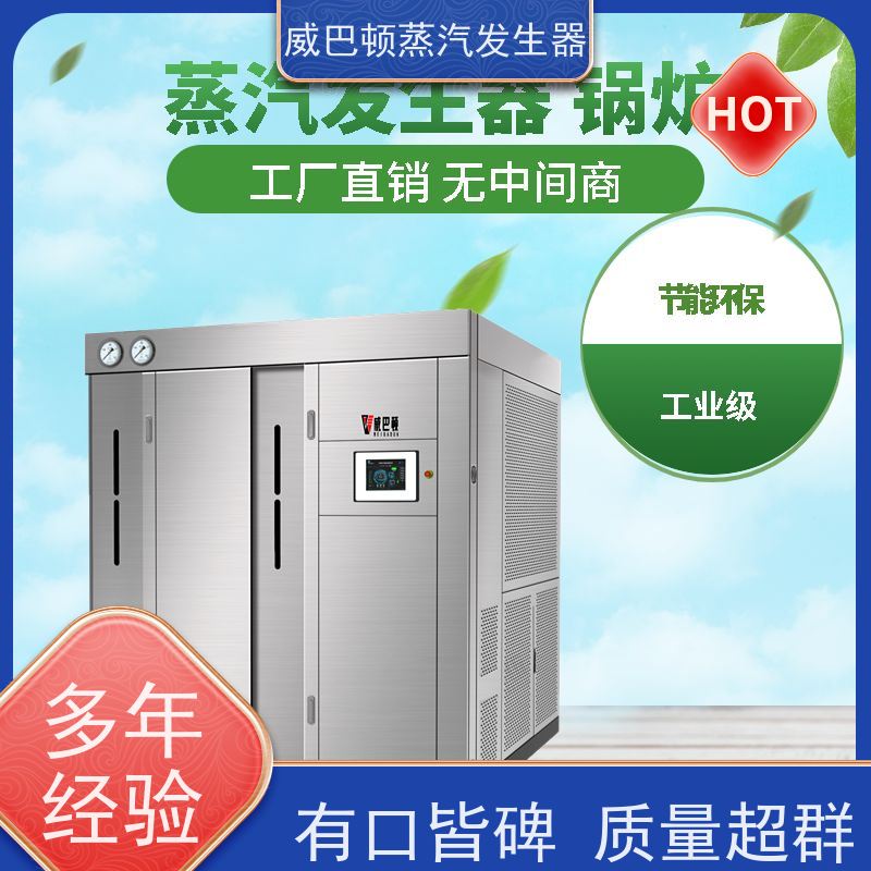  烘干熨烫 4T蒸汽发生器 多台并联省气稳供 高温高压
