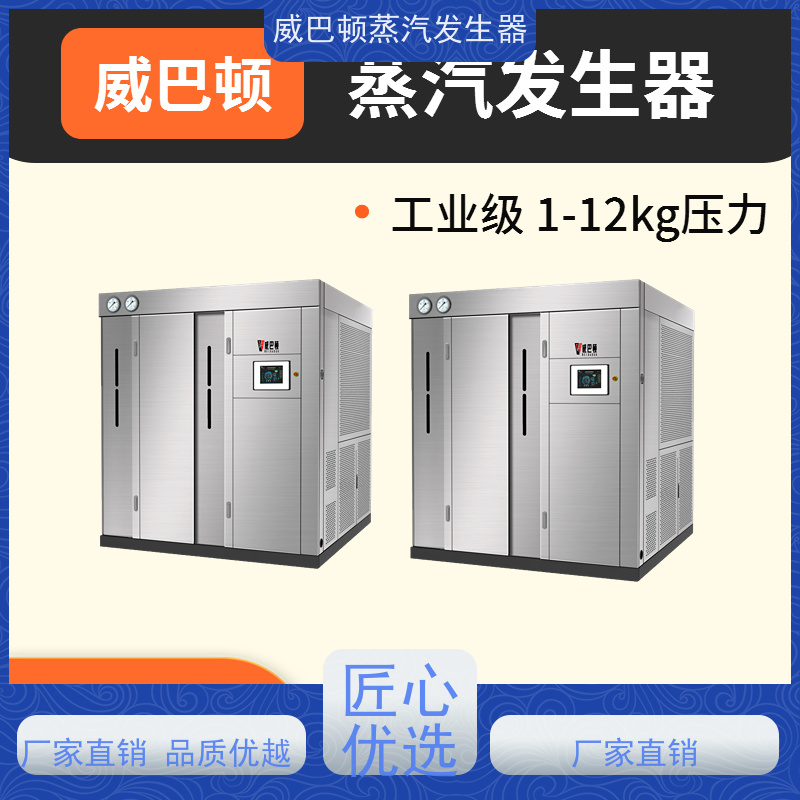  食品级 蒸汽锅炉设备 多台并联省气稳供 混凝土养护