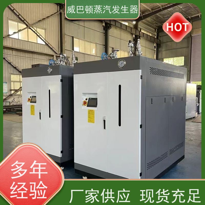  不锈钢 液化气蒸汽发生器 体积小一半全 食品烘干