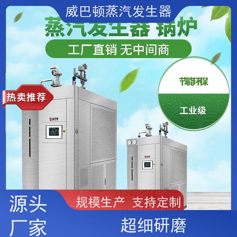  灭菌消毒 立式蒸汽锅炉 多台并联省气稳供 豆腐腐竹加工厂