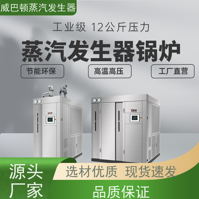  新型国标 工业蒸汽发生器 热效率 101% 还省气 豆腐腐竹加工厂