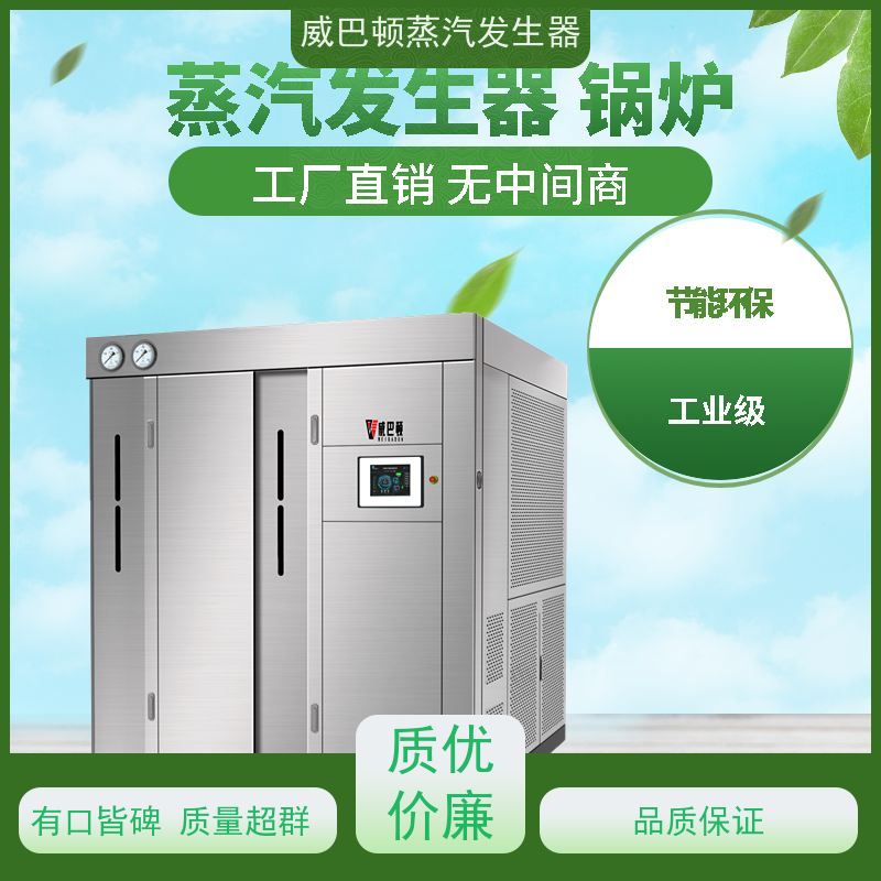  灭菌消毒 洗涤锅炉 3 分钟出蒸汽 豆腐腐竹加工厂