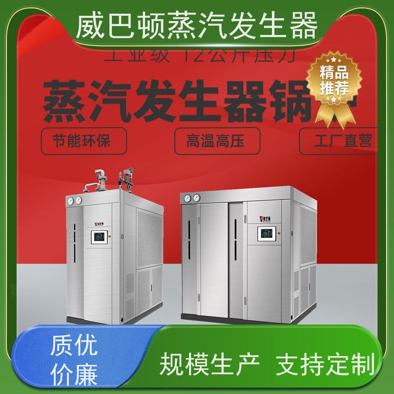  烘干熨烫 不锈钢蒸汽发生器 体积小一半全 混凝土养护