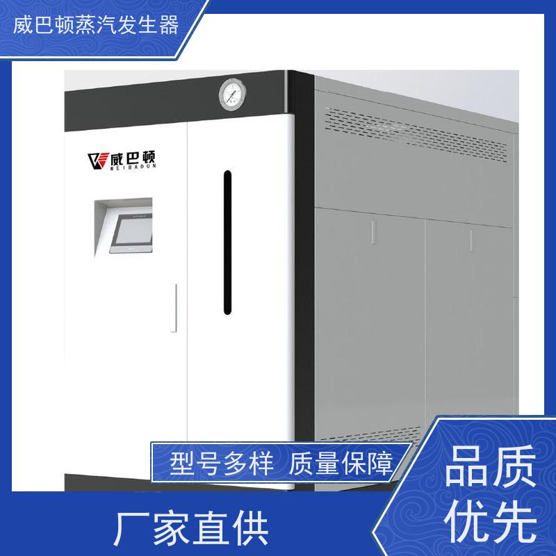 烘干熨烫 高压蒸汽发生器 多台并联省气稳供 制药厂