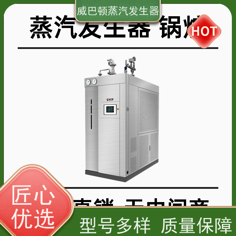  烘干熨烫 洗衣房锅炉 小车间也能轻松装 泡沫厂