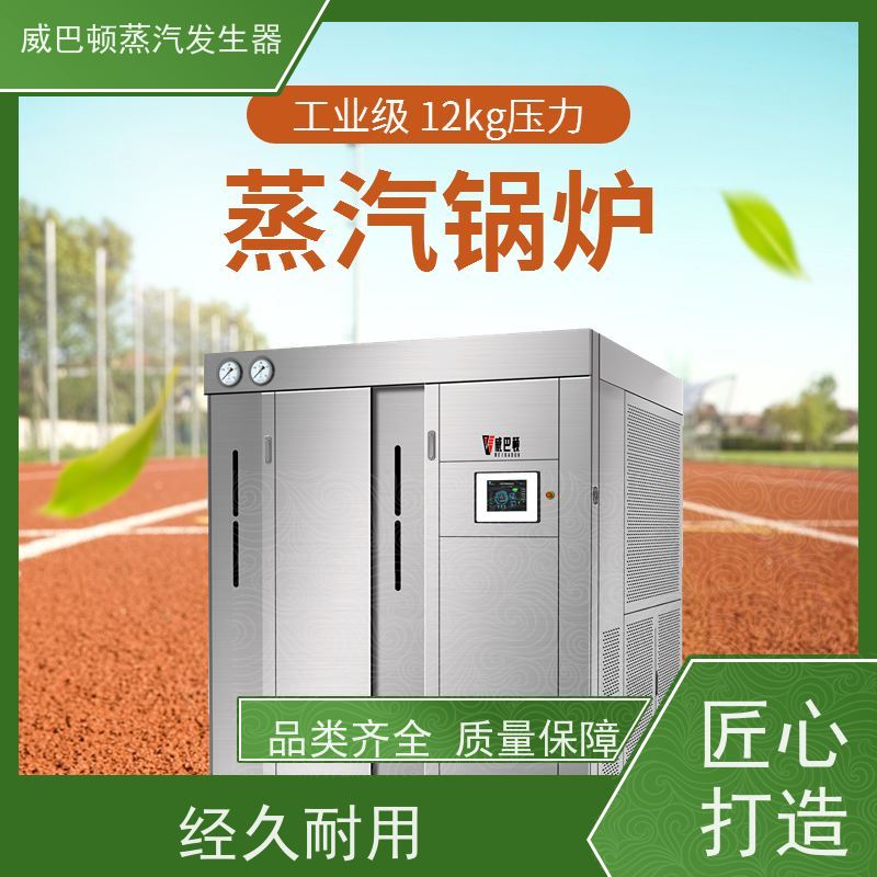  新型国标 1吨燃气热水锅炉 多台并联省气稳供 食品烘干