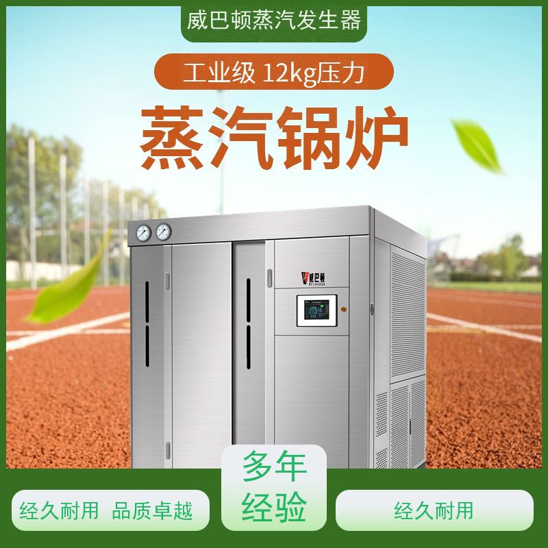 天然气锅炉设备 小车间也能轻松装 豆腐腐竹加工厂