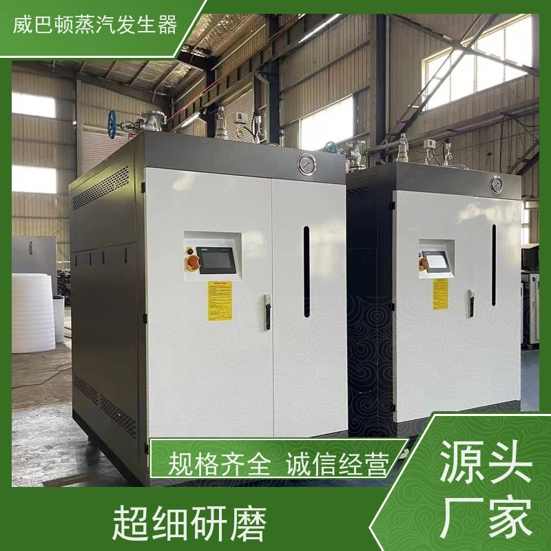  节能环保 5吨燃气锅炉 水容积≤30L，合规又省心 食品烘干