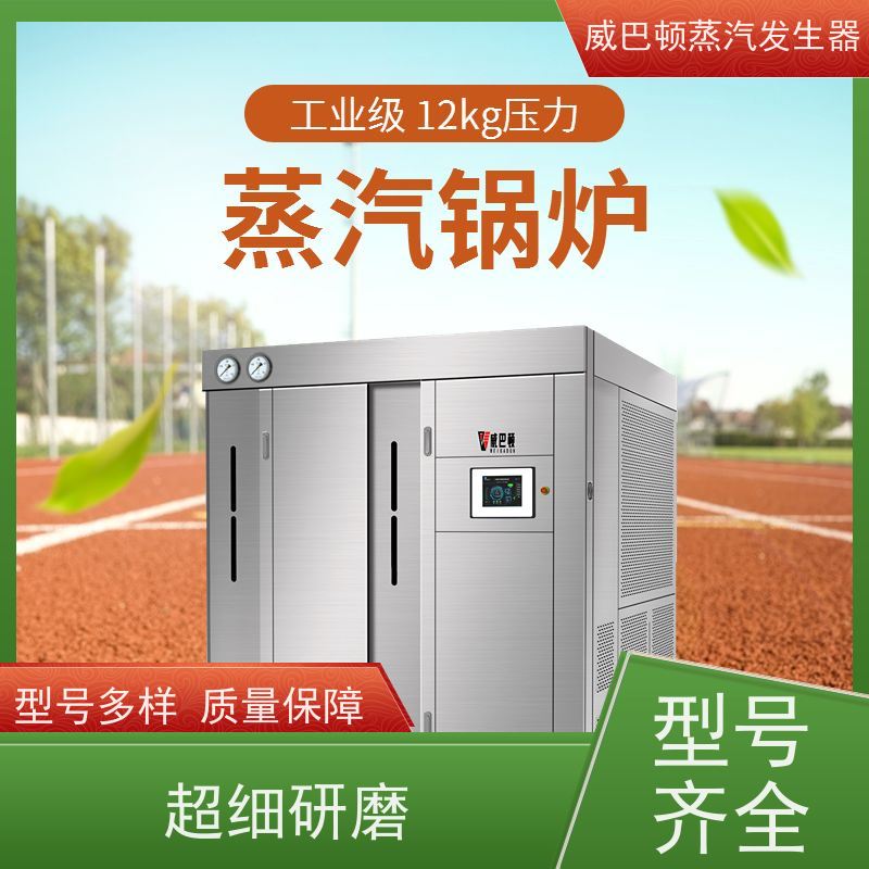  节能环保 6T蒸汽发生器 水容积≤30L，合规又省心 智能控温