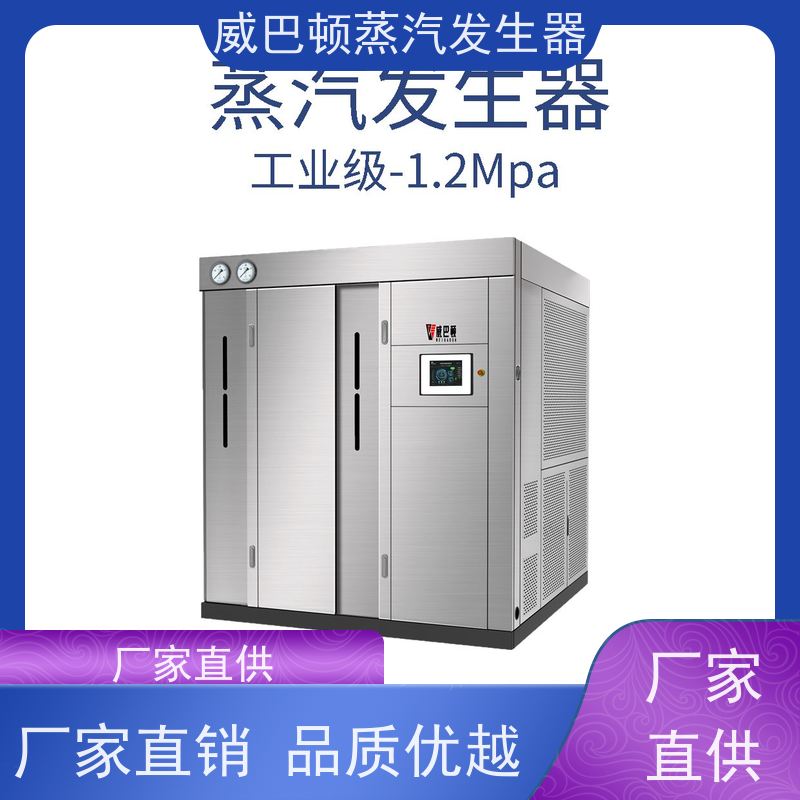  不锈钢 蒸馒头专用锅炉 水容积≤30L，合规又省心 巴氏消毒