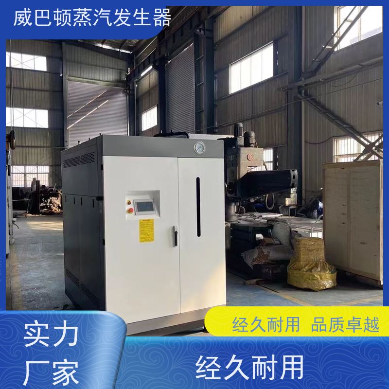  食品级 洗衣房锅炉 水容积≤30L，合规又省心 饲料行业