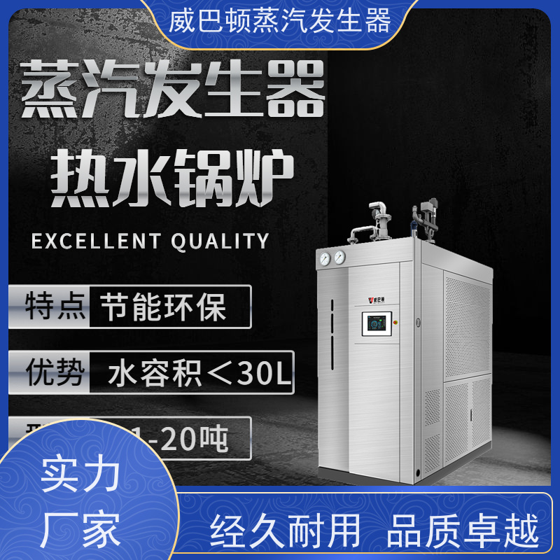  洗涤熨烫 新能源环保锅炉 多台并联省气稳供 橡胶厂