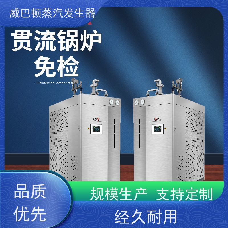  烘干熨烫 全不锈钢锅炉 多台并联省气稳供 制药厂