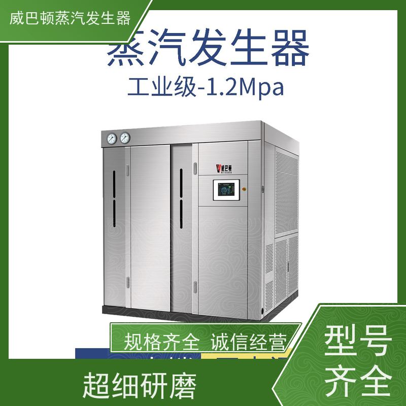  灭菌消毒 蒸馒头专用锅炉 热源机 豆腐腐竹加工厂