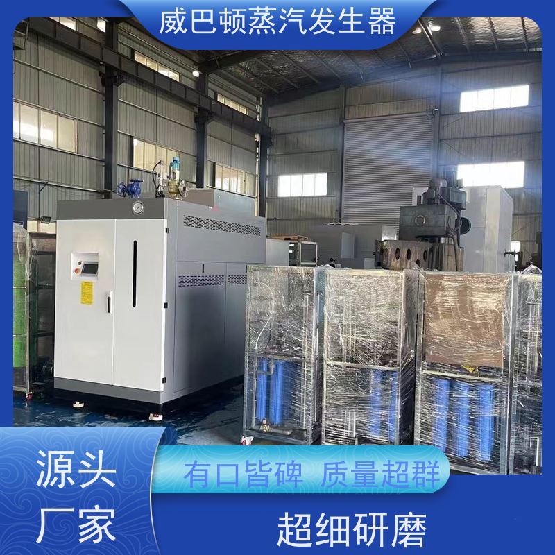  节能环保 蒸馒头专用锅炉 体积小一半全 高温高压