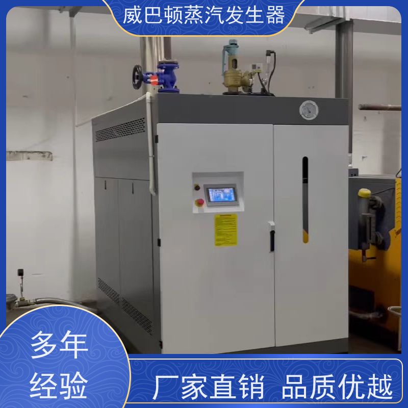  节能环保 洗衣房锅炉 水容积≤30L，合规又省心 巴氏消毒