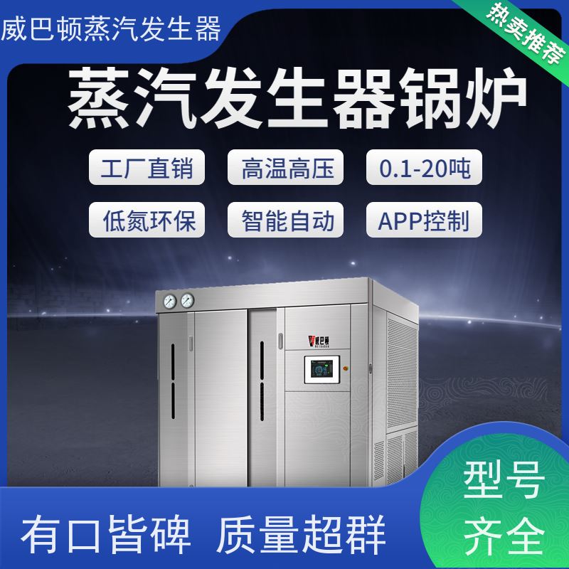  新型国标 贯流蒸汽发生器 体积小一半全 橡胶厂