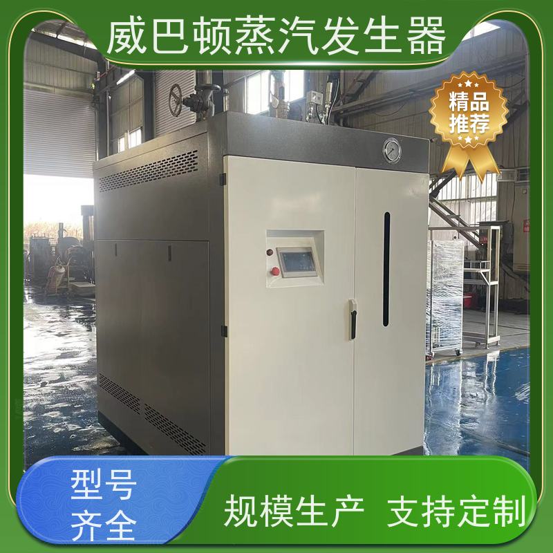  新型国标 天然气锅炉设备 水容积≤30L，合规又省心 化工厂