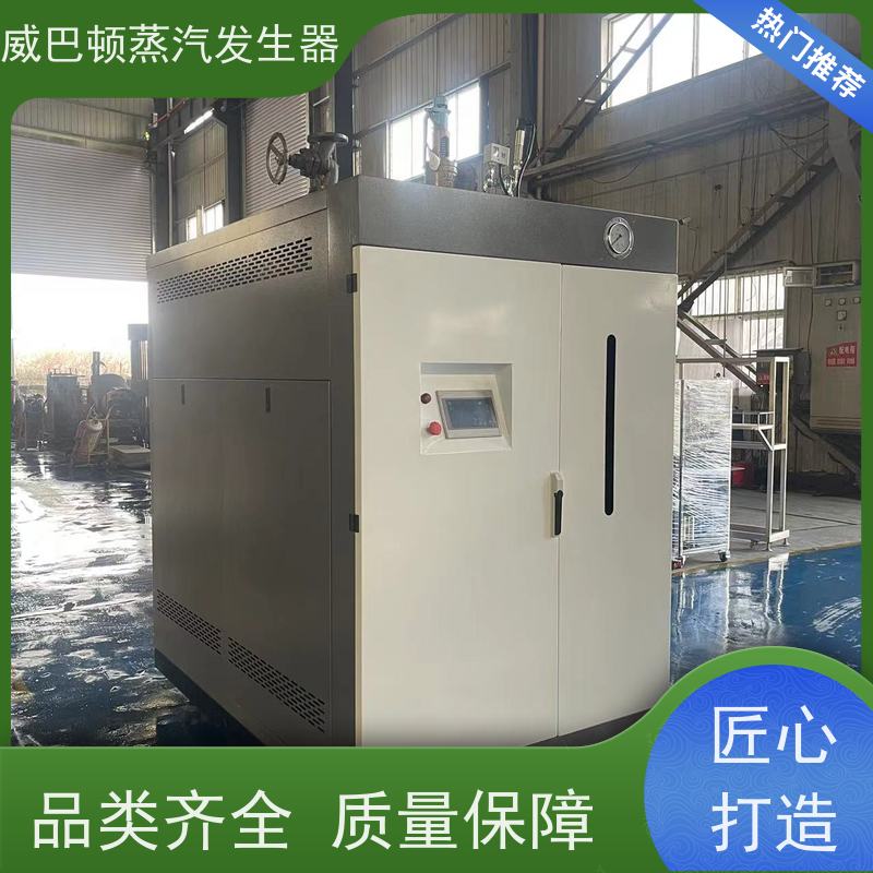  洗涤熨烫 高压蒸汽发生器 变频控制 豆腐腐竹加工厂