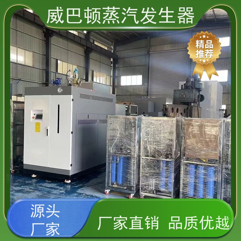  节能环保 立式蒸汽锅炉 水容积≤30L，合规又省心 智能控温