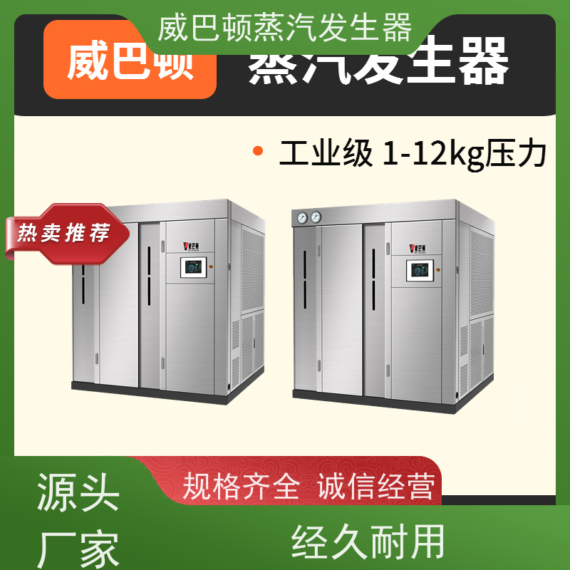  洗涤熨烫 3T蒸汽发生器 小车间也能轻松装 巴氏消毒