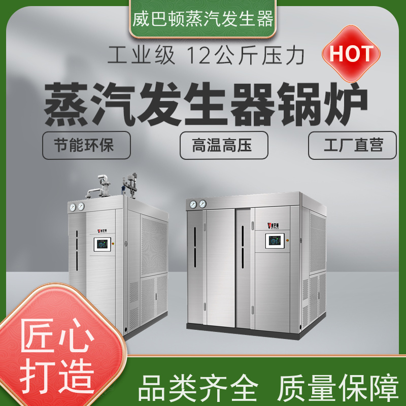  灭菌消毒 燃气蒸汽发生器 体积小一半全 酿酒厂