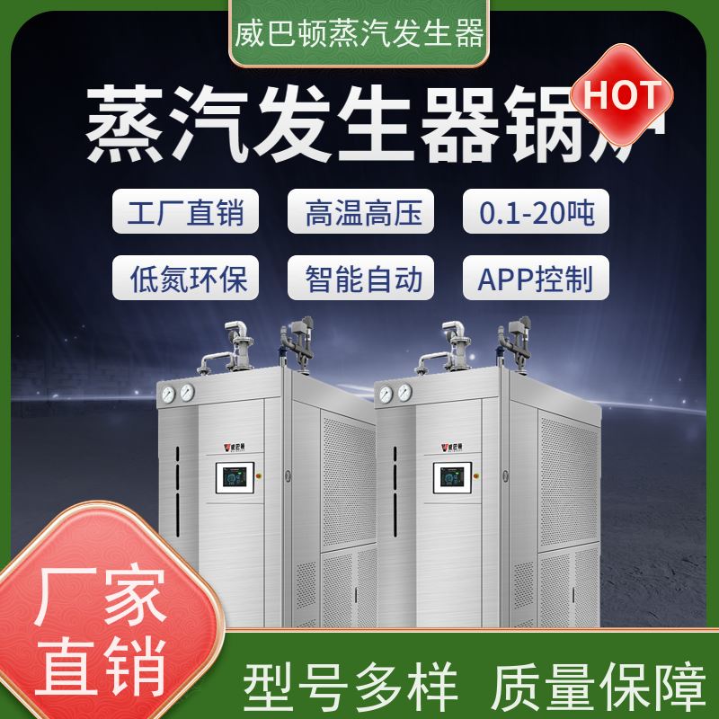  低氮冷凝 5吨蒸汽锅炉 水容积≤30L，合规又省心 造纸厂