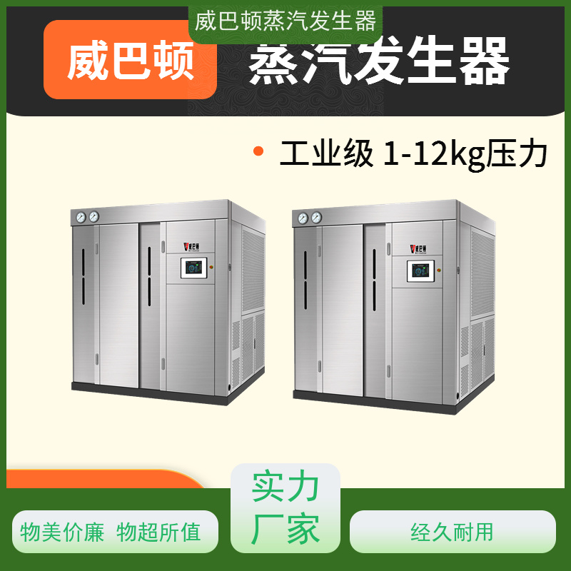  洗涤熨烫 2吨蒸汽发生器 多台并联省气稳供 食品烘干