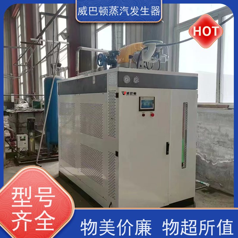  灭菌消毒 1吨蒸汽发生器 水容积≤30L，合规又省心 化工厂