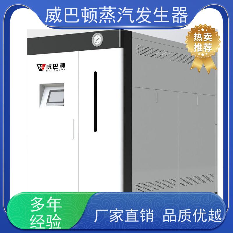  洗涤熨烫 1吨蒸汽发生器 小车间也能轻松装 化工厂