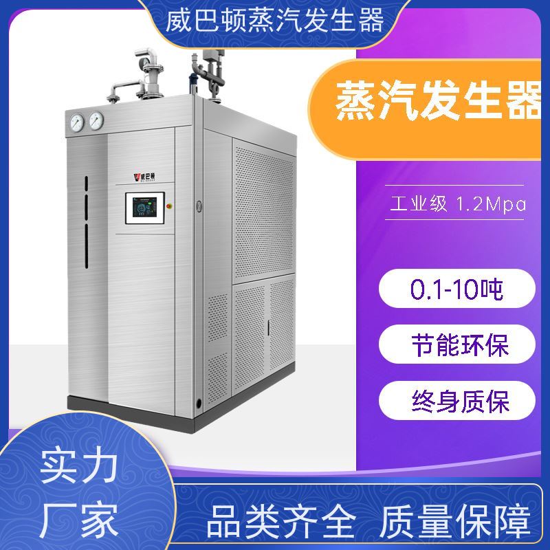  节能环保 高压蒸汽锅炉 多台并联省气稳供 大棚恒温