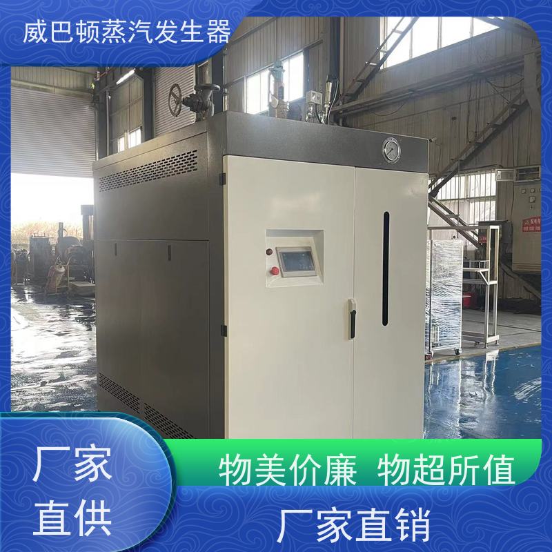 灭菌消毒 蒸馒头专用锅炉 3 分钟出蒸汽 混凝土养护